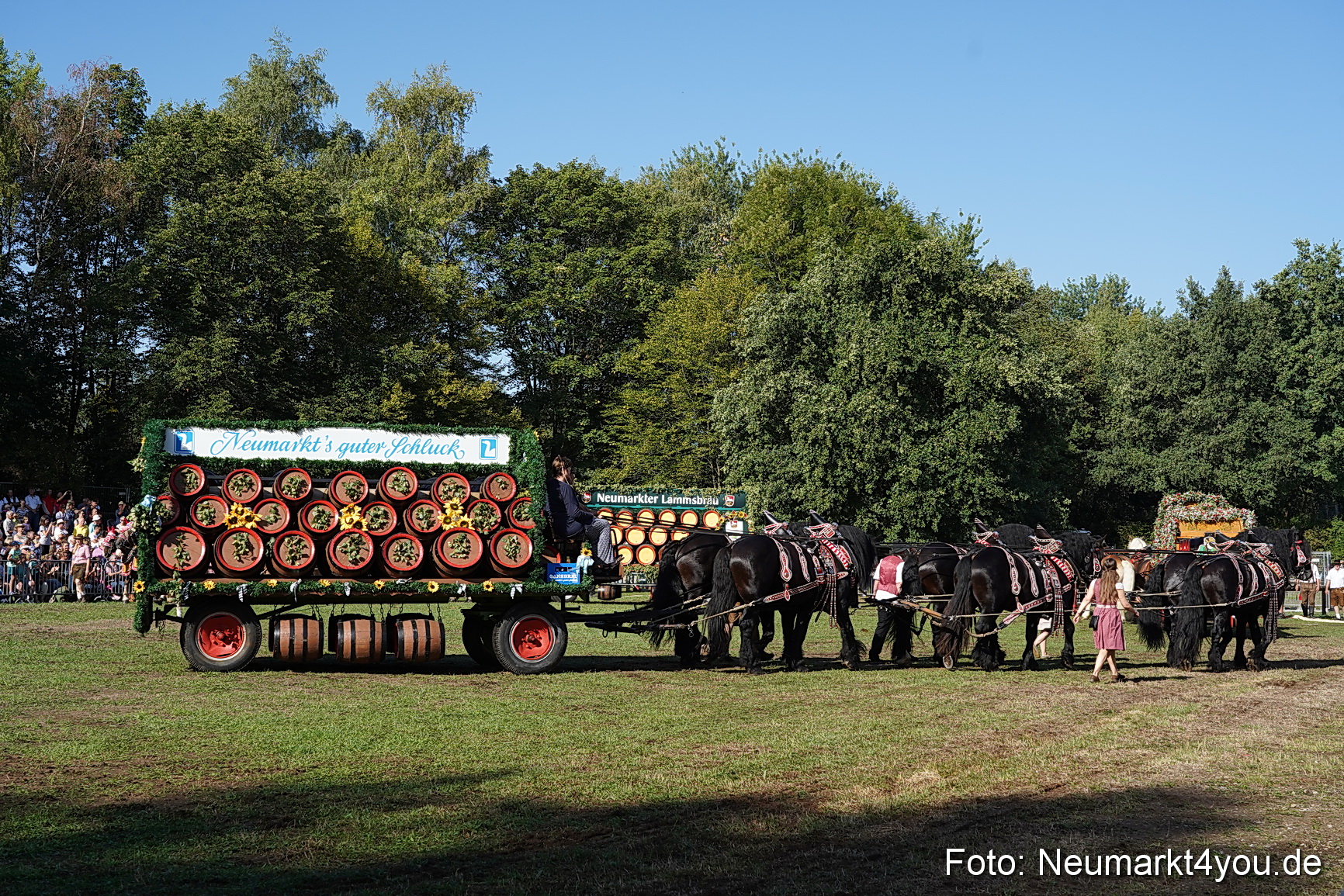 Pferde und Fohlenschau 2022 0059 